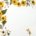 Earthy sunflower border Royalty Free Stock Photo