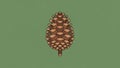 On earthy tones highlighting the natural form of pine cones from coniferou Royalty Free Stock Photo