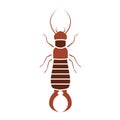 Earwig bug icon