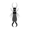 Earwig bug silhouette