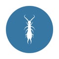 earwig icon. Element of insect icons for mobile concept and web apps. Badge style earwig icon can be used for web and mobile apps