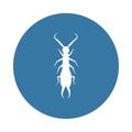 earwig icon. Element of insect icons for mobile concept and web apps. Badge style earwig icon can be used for web and mobile apps