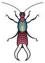 Earwig icon. Pest insect. Wild decorative animal