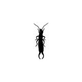 Earwig icon. Simple style insect spraying company poster background symbol. Earwig brand logo design element. Earwig t-shirt