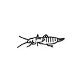 Earwig insect black line icon.