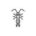 Earwig insect line icon