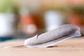 Easiness: Feather on a wooden desk, copy space