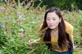 East asian woman bending over picking flowers