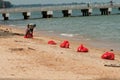 East Coast Beach Clean Up in Singapore