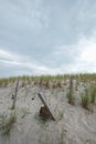 East coast beach storm fence protecting tall sand dunes Royalty Free Stock Photo