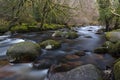 East Dart River