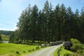 The East Dart River in Belever, Dartmoor National Park, Devon, U Royalty Free Stock Photo