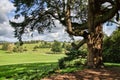 East Devon Landscape Royalty Free Stock Photo