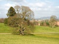 East Devon Springtime Landscape Royalty Free Stock Photo