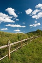 East European summer landscape