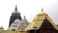 east front view of lord jagannath temple puri Royalty Free Stock Photo
