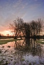 East Harnham water meadows. Royalty Free Stock Photo
