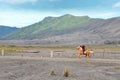 East Java, Indonesia - May 12, 2016 : Unidentified horse riders for rent to Mount Bromo in East Java, Royalty Free Stock Photo
