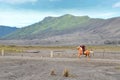 East Java, Indonesia - May 12, 2016 : Unidentified horse riders for rent to Mount Bromo in East Java,
