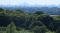 East London Skyline seen above the trees