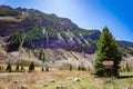 East Maroon Wilderness Portal White River National Forest Colorado