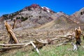 East Maroon Wilderness Portal White River National Forest Colorado