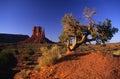 East Mitten Butte of Monument Valley Royalty Free Stock Photo
