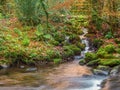 East Okement River tributary, Fatherford, Devon. Autumn.