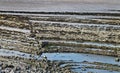 East Quantoxhead beach in Somerset. The limestone pavements date to the Jurassic era and are a paradise for fossil hunters. Royalty Free Stock Photo