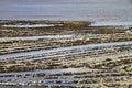 East Quantoxhead beach in Somerset. The limestone pavements date to the Jurassic era and are a paradise for fossil hunters. Royalty Free Stock Photo