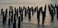 East River pier pilings remnants as photgraphed from Brooklyn Bridge Park Royalty Free Stock Photo