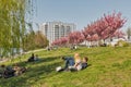 East Side Gallery and spring sakura garden in Berlin, Germany Royalty Free Stock Photo