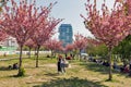 East Side Gallery and spring sakura garden in Berlin, Germany Royalty Free Stock Photo