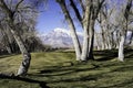 East Sierras near Bishop, CA Royalty Free Stock Photo