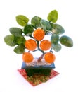 East souvenir tangerine tree Royalty Free Stock Photo