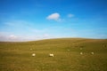 East Sussex landscape. Royalty Free Stock Photo