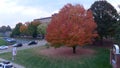 East Tennessee State University - Glorious Red Tree of Autumn