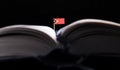 East Timorese flag in the middle of the book. Knowledge and educ Royalty Free Stock Photo