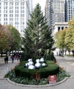 East View of Official Chicago Christmas Tree