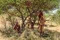 Bushman people in Namibia Royalty Free Stock Photo