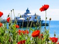 Eastbourne's pier and poppies