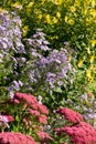 Eastcote House historic walled garden in the Borough of Hillingdon, London, UK. The garden is looked after volunteers.