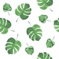 Watercolor seamless background from palm leafs Royalty Free Stock Photo