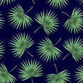 Watercolor seamless background from palm leafs Royalty Free Stock Photo