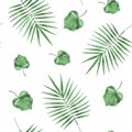 Watercolor seamless background from palm leafs Royalty Free Stock Photo