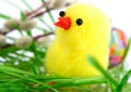 Easter Royalty Free Stock Photo