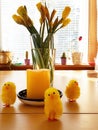 Easter chicks in Molde