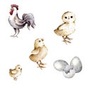 Easter animals. Goose, rooster, chickens, mouse, flowers. Happy Easter watercolor illustration