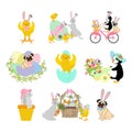 Easter animals set. Chick, rabbit, pug, penguin vector illustration