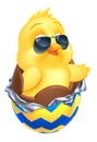 Easter Baby Chick Chicken Bird Chocolate Egg Royalty Free Stock Photo